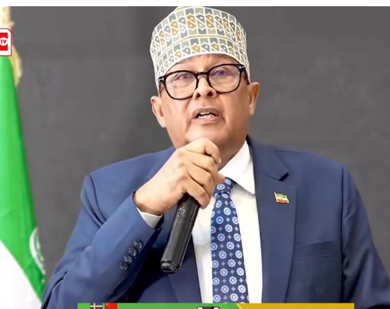 Daawo: Nuxurka Khudbadii Madaxweyne Cirro ka jeediyey Shirka Golaha Dhexe WADANI