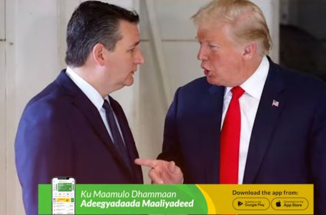 Waa kuma TED Cruz Xildhibaanka Baarlamanka Maraykanka ee aqoonsiga Somaliland u gudbiyey Madaxweyne Trump.