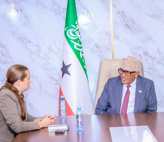 Daawo: Maxay ka wada hadleen Dawladda Finland iyo Madaxweyne Cirro