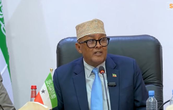 Muxuu yahay baaqa dawladaha Somaliland iyo Israa iil ay soo saareen ee la ansixiyay?