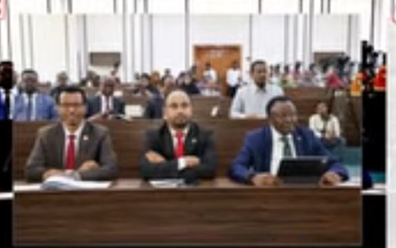 Xildhibaanno ka tirsan Soomaaliya oo Beesha Caalamka uga digay taageerada Xukuumadda DFS