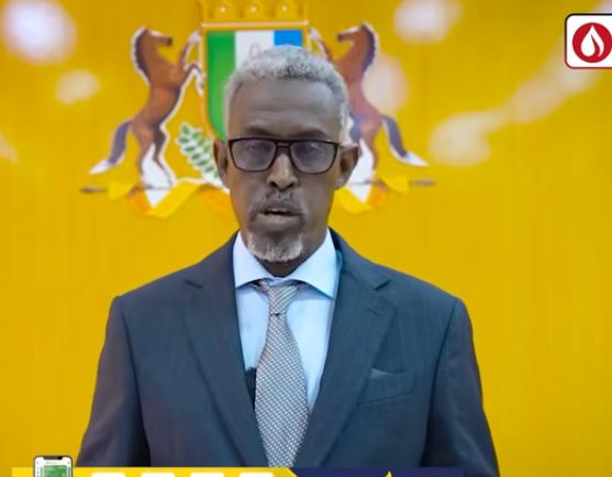 Puntland oo waaran u jaraysa siyaasiyiin & saraakiil lagu eedeeyay abaabulka ciidamo federaal ah.