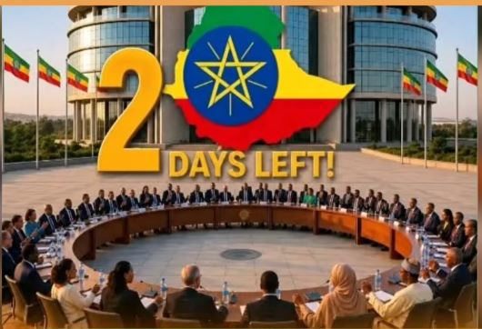 Maxaa ka soo bixi doona shirka nabada ee maanta ka furmaya Addis Ababa ?.