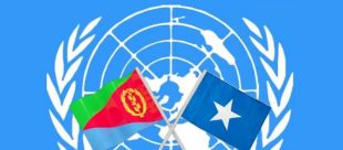 Hargeisaa:-Qaramadda Midoobay Oo War Kasoo Saartay Saldhiga Military Ee Imaaraadku Ka Dhisanaayo Berbera.