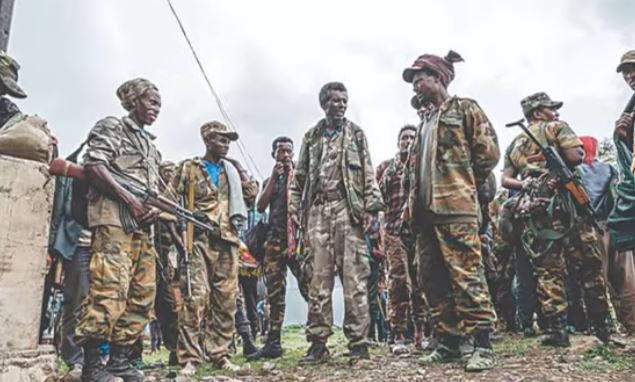 Jabhad kaga dhawaaqday Gudaha Itoobiya in ay dagaal ku qaadayso Eritrea