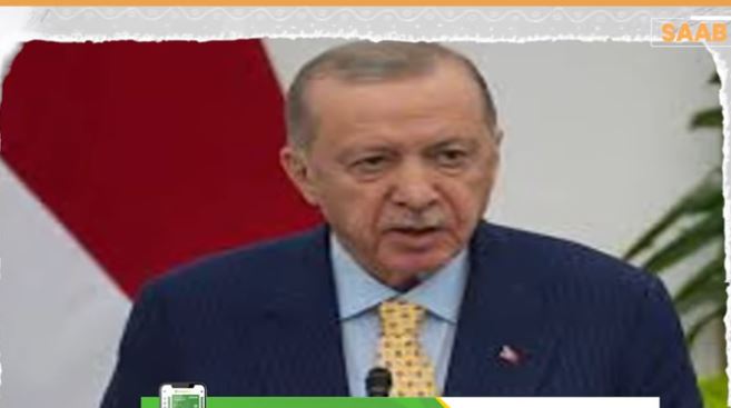 Maxay yihiin hadalad Madaxweyne Erdoğan jeediyey ee lagu sheegay mid colaad abuuri kara?
