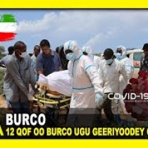 Gudaha:-12 Qof Oo Xanuunka Safmarka Ah Ee COVID-19 Ugu Geeriyooday Burco Iyo Bulshada Magaalad Burao oo La Daala DHacaysay Xanuunka covid19